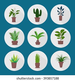 Set of green indoor flat style house plants and flowers in pots vector icons. Cactus, palm, aloe vera, ficus.