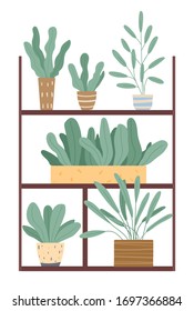 Set of green indoor houseplants and flowers in pots icons on white. Plants growing in pots or planters. Collection of beautiful natural home and office decorations. Trendy vector in flat cartoon style