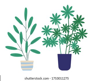 Set of green indoor houseplants and flowers in pots icons on white. Plants growing in pots or planters. Collection of beautiful natural home and office decorations. Trendy vector in flat cartoon style