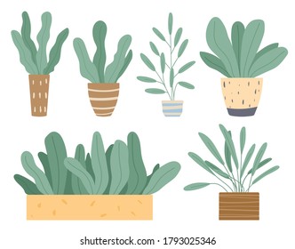 Set of green indoor houseplants and flowers in pots icons on white. Plants growing in pots or planters. Collection of beautiful natural home and office decorations. Trendy vector in flat cartoon style