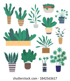 Conjunto de plantas de casas cubiertas verdes y flores en los íconos de las macetas en blanco. Plantas que crecen en macetas o plantadores. Colección de hermosas decoraciones de casa y oficina. Vector de moda al estilo de dibujos animados planos