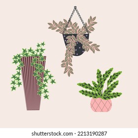 Set of green indoor plants