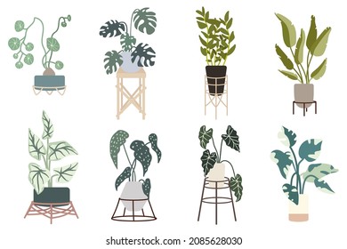 Set of green indoor plants in flowerpots on wooden stands.Flat vector graphics.