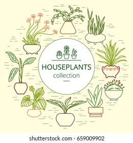Set of green indoor plants in pots. Home flowers made in flat style. Houseplant design collection. Vector illustration. Color icons for advertising, banners, background and web design.