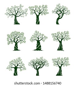 Set of Green Isolated Olive Trees on white background. Vector Illustration and concept pictogram. Plant in garden.