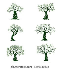 Set of Green Isolated Olive Trees on white background. Vector Illustration and concept pictogram. Plant in garden.