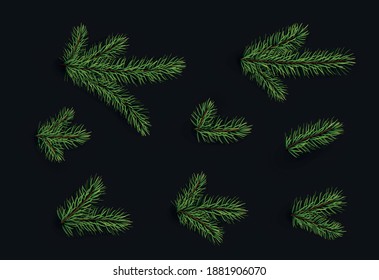 Set of green isolated spruce branches, twigs. Decorative design element for posters, cards, banners, flyers. Vector winter illustration.