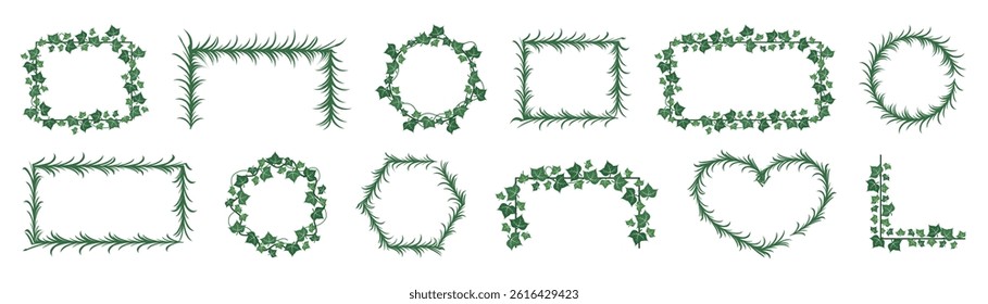Set of green ivy frames for text. Vector illustration