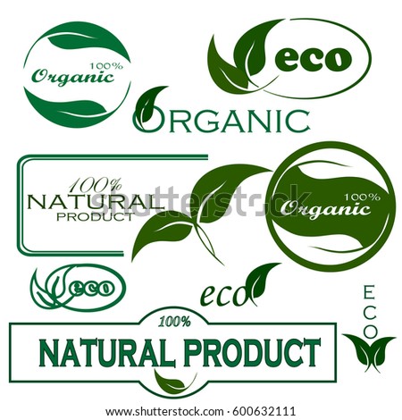 Set Green Labels Badges Leaves Organic Stock Vector (Royalty Free ...