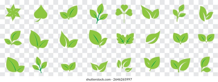Set of a Green leaf and Black leaf icon. Various shapes of green leaves of trees and plants. Environment and nature leaf vector illustration. Best Design.