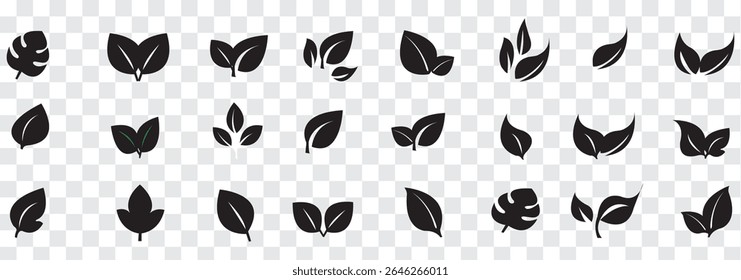 Set of a Green leaf and Black leaf icon. Various shapes of green leaves of trees and plants. Environment and nature leaf vector illustration. Best Design.