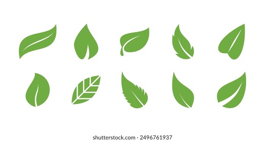 Conjunto de diseño de hoja verde. Hojas de árboles y plantas. Vector de Premium