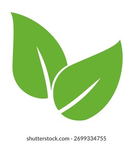 Conjunto de diseños de hojas verdes con potencia plana. Ilustraciones de hojas simples. Vectores de hojas, tema de la naturaleza.