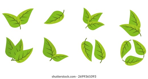 Conjunto de diseños de hojas verdes con potencia plana. Ilustraciones de hojas simples. Vectores de hojas, tema de la naturaleza.