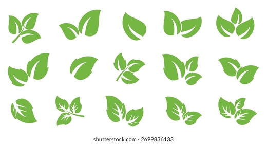 Conjunto de diseños de hojas verdes con potencia plana. Ilustraciones de hojas simples. Vectores de hojas, tema de la naturaleza.
