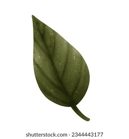Set of green leaf drawings. Watercolor style.
