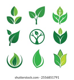 Set of green leaf eco icons and ecology logo design