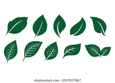 Conjunto de icono de ecología de hoja verde, hoja aislada sobre fondo transparente. Símbolo de medio ambiente y Naturaleza, Plantilla de Vector