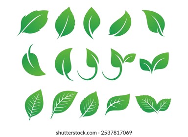 Set of green leaf ecology icon, leaf isolated on transparent background. Environment and Nature Symbol, Vector 