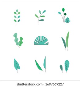set of green leaf flat illustration vector, graphic element for design