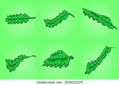 Set of green leaf with hand drawn style for graphic resources