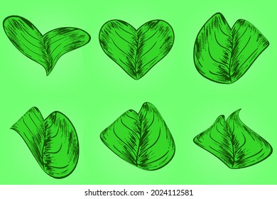 Set of green leaf with hand drawn style for graphic resources