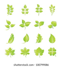 Set of green leaf icons