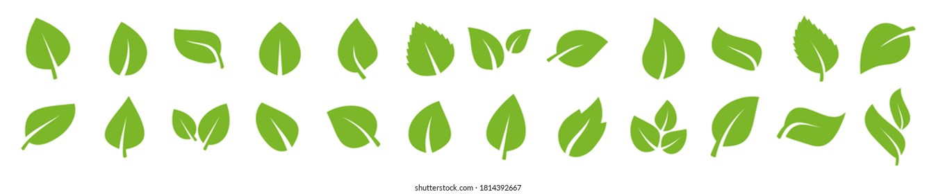 Set of green leaf icons. Green color. Leafs green color icon logo. Leaves on white background. Ecology. Vector illustration.