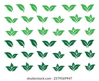 Set of green leaf icons. Green color. Leaf's green color and black color icon logo. Leaves on white background. Ecology. Vector illustration.	