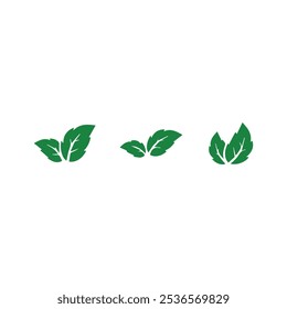 Set of green leaf icons design.