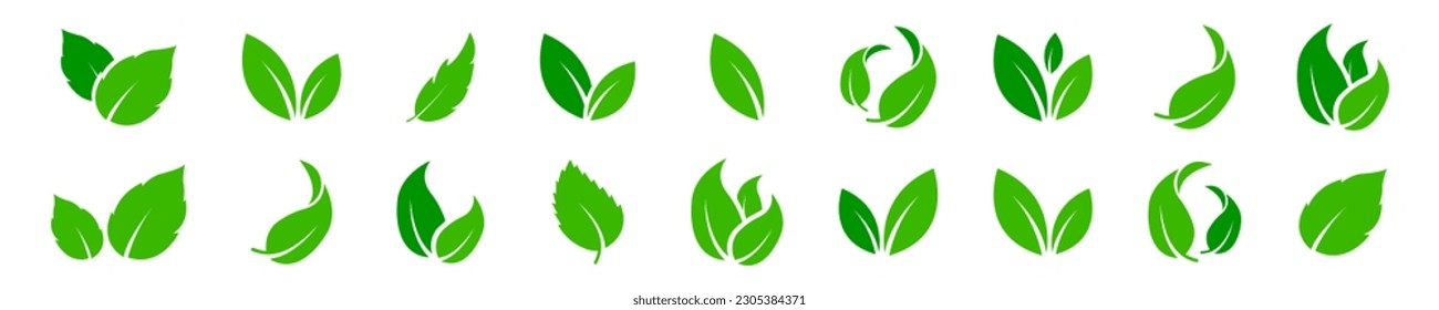 Set of green leaf icons. Green leaf ecology nature element. Collection green leaf. Vector illustration.