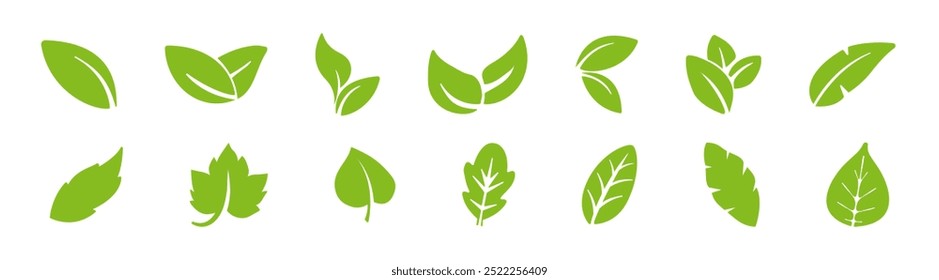 Set of green leaf icons. Leaf icons set ecology nature element, green leaves vector collection