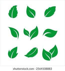 Set of green leaf icons. Elements design for natural, eco, bio, vegan labels. Leaf icons set ecology nature element, green leaf, environment and nature eco sign. Vector illustration.