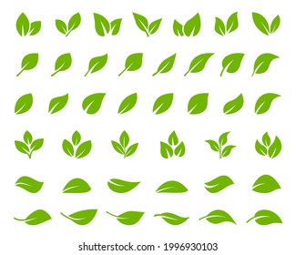 Set of green leaf icons. Leaves of trees and plants. Leaves icon. Collection green leaf. Elements design for natural, eco, bio, vegan labels. Vector illustration.