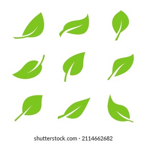 Set of green leaf icons. Leaves icon. Leaves of trees and plants. Collection green leaf. Elements design for natural, eco, bio, vegan labels. Vector illustration.