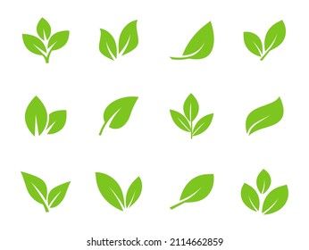 Set of green leaf icons. Leaves icon. Leaves of trees and plants. Collection green leaf. Elements design for natural, eco, bio, vegan labels. Vector illustration.