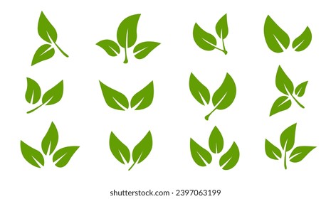 Conjunto de iconos de hoja verde. Hojas de árboles y plantas. Sale sobre fondo blanco. Ecología. Ilustración vectorial.