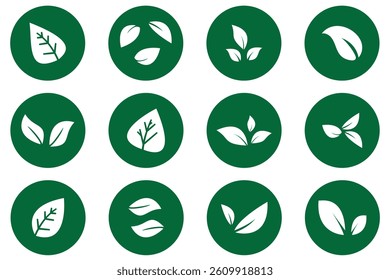 Set of green leaf icons. Leaves of trees and plants. Leaves icon. Collection green leaf. Elements design for natural, eco, bio, vegan labels. 