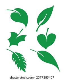 Set of green leaf icons on white background. Vector illustration of leaves.