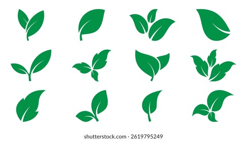 Conjunto de iconos de hojas verdes sobre fondo blanco. Ideal para etiquetas ecológicas, biológicas, veganas y de productos orgánicos. Ilustración vectorial EPS 10.