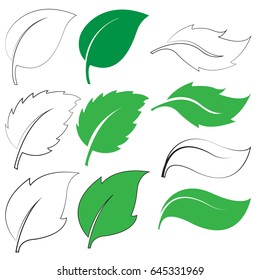 set of green leaf icons  on white background. Leaves icon vector. illustration.