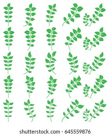 set of green leaf icons  on white background. Leaves icon vector. illustration.