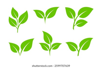 Set of green leaf illustration