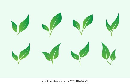 Set of green leaf logo design inspiration