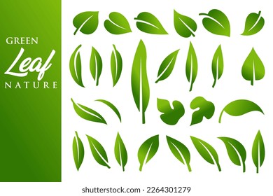 Conjunto de iconos vectoriales de diseño de logotipo de hoja verde