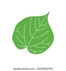 set of green leaf logo, icon, isolated on white background. nature, plant, leaf, leaves, green, eco, ecology, autumn, white, clipart, sticker, flat, simple, doodle, vector illustration.