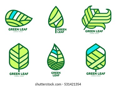 Set of green leaf logo templates, vector illustration isolated on white background. Collection of green leaf logotype template, environment protection, nature, growth, development concept