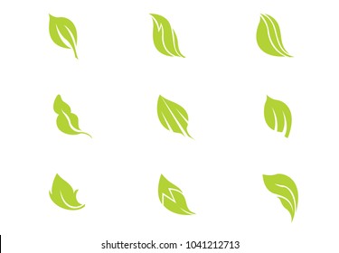  set-grüne Blatt-Vektorgrafik auf Hintergrund