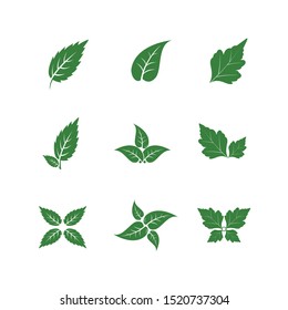 Set of Green leaf vector illustration