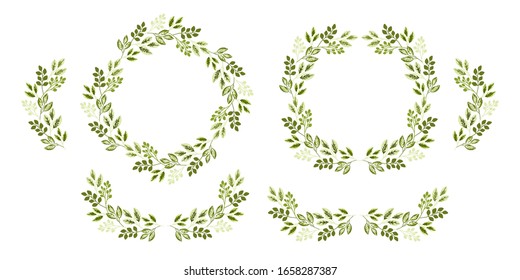 Set of green leaf wreath and leaf frame for invitation and wedding design. Vintage elegant hand-drawn leaf and floral arrangements